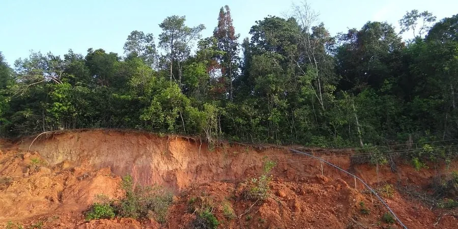 Illustrative image of Landslide assessment in Charlotte